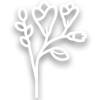 Minimalist bamboo-style plant icon.