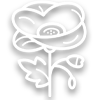 Poppy flower icon.