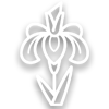 Iris flower icon.