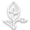 Lily with leaves icon.