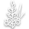 Wildflower icon.